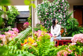 无锡灵山大佛+禅意小镇·拈花湾一日游【花海禅境·纯玩逸趣】【[精选纯玩]：5A精选畅游，本地导游贴心安排，气氛之旅，没有噱头，臻纯玩，不进请香店， 醉美景！】