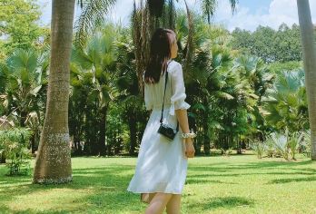 西双版纳热带植物园一日游-7000+好评+金牌导游+优选行程【[品质保障]优选版纳土著向导，超万人出游7000+好评，纯玩无购物。植物园天堂赏花季！】