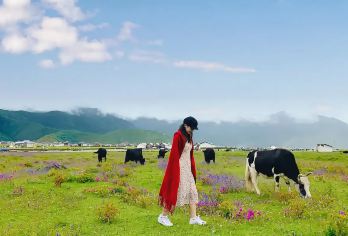 香格里拉纳帕海(依拉草原)骑马+土司宴【含门票+适合自驾】【骑马（时间不低于30分钟）深入纳帕海草原，景点直达，方便快捷~】