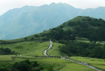 台湾台北+阳明山+金山老街+跳石车站+珊瑚贝壳庙+渔人码头【[高品质包车服务]舒适出行，全程安心便捷】