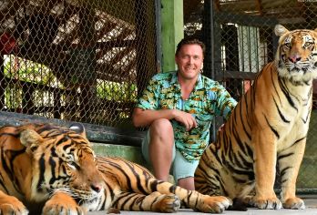 普吉岛老虎王国【撸大猫|亲子互动|专车接送】【参观期间有机会与各个年龄段的可爱老虎见面、打招呼并合影留念】