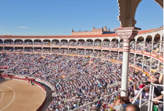 马德里皇宫＋伯纳乌球场＋拉斯班塔斯斗牛场【马德里三大地标包车一日游，从王室风华到足坛风云，邂逅伊比利亚的浪漫与激情！】