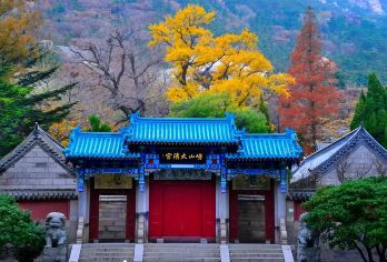 青岛会场赶海+太清环海路+网红渔村【2-6人精品小团】【[产品优势]省心省力，会场赶海+提供小桶小铲子，市区可上门接！】