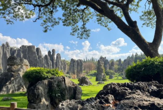 石林+九乡一日游【纯玩优选Δ门票全含Δ可选15人小团】【[多套餐可选]性价比常规团 & 15人精品小团，总有一款适合您！】