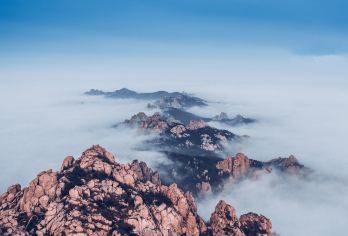 青岛崂山风景区一日游【醉美公路丨免换乘丨半自由行丨网红渔村】【[经典线路]想学功夫修炼仙术 先征服这条山路，半自由行更轻松】