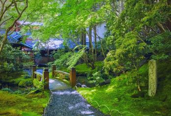 日本京都往返奈良-奈良公园-若草山-春日大社-小鹿红叶季【专业行程定制，精选热门景点，高效游玩不走回头路，贴心服务保障，轻松】