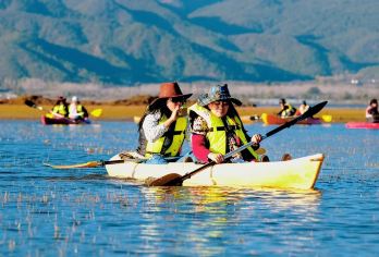 拉市海骑马划船+湿地公园票+千古情一日游：古城接送+土鸡火锅【[特色午餐]午餐安排纳西土鸡火锅素菜不限量】