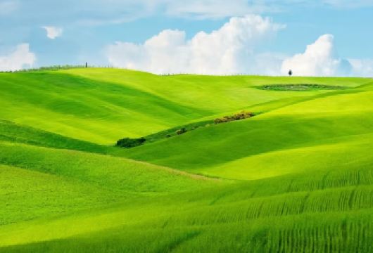 意大利佛罗伦萨圣吉米尼亚诺+锡耶纳教堂+奥尔恰谷一日游【专属包车省心游：全程专车服务，无缝衔接景点，免去转车劳顿，自由掌控游览节奏享受舒适惬意的深度之旅。】