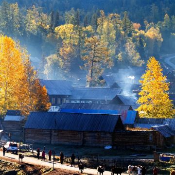 【新疆北疆天花板·冬季⑦日环线】开局即王炸！穿越林海雪原！