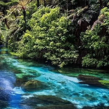 陶波湖+胡卡瀑布+怀欧塔普地热公园+蓝泉一日游含门票