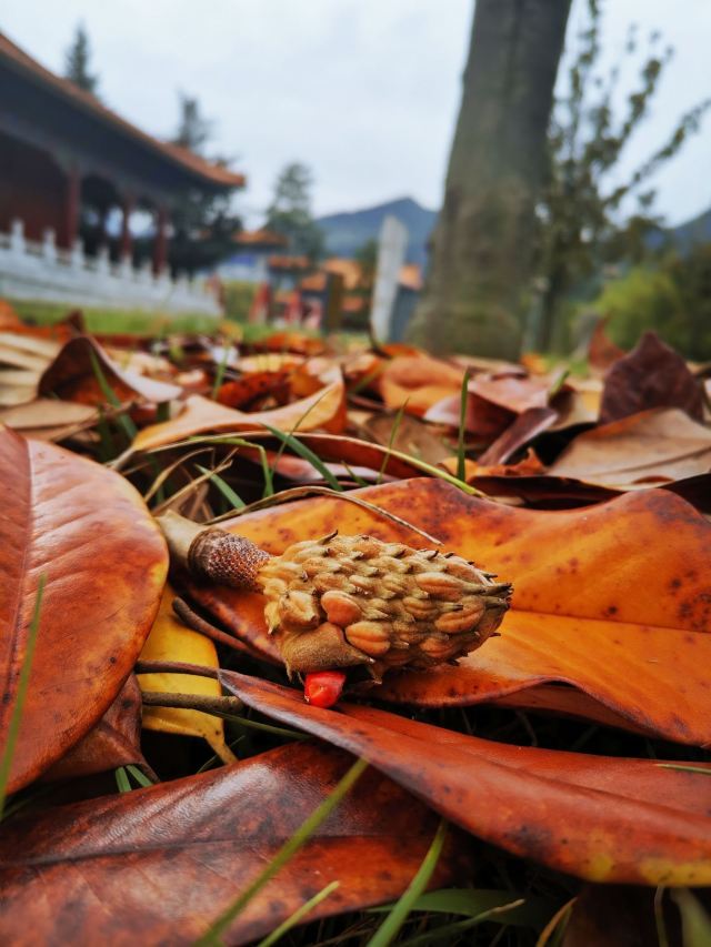 终南山古楼观历史文化景区旅行图片 3