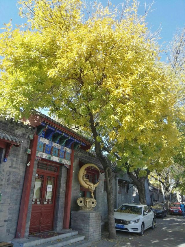 北锣鼓巷旅行图片 2