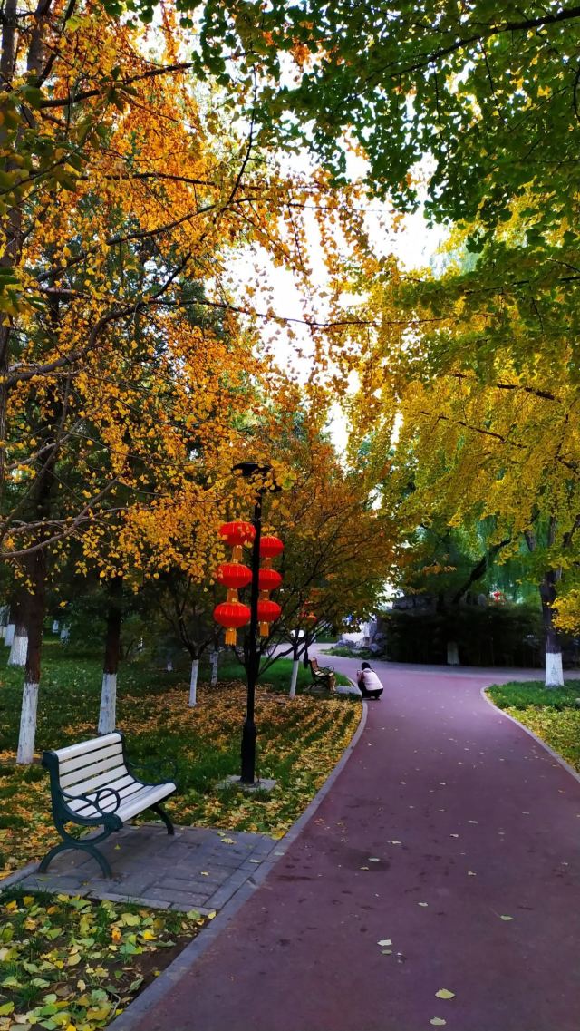 万芳亭公园旅行图片 1