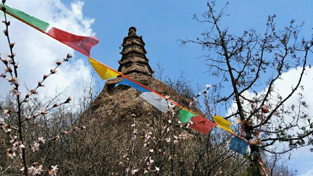 柏林寺旅行图片 8