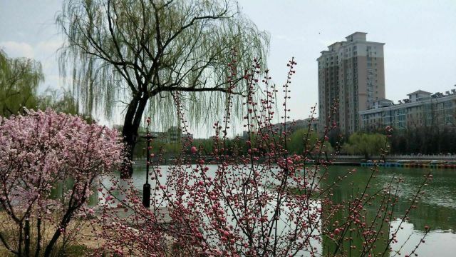 宣化人民公园旅行图片 11