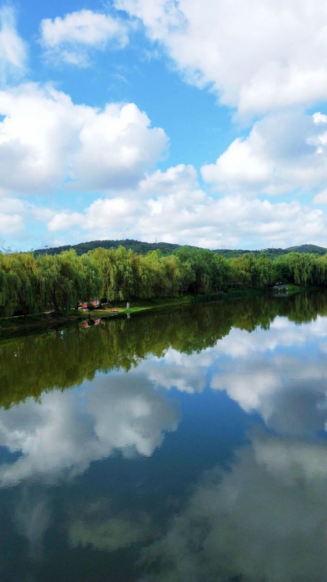 李村河生态全景示范园旅行图片 2