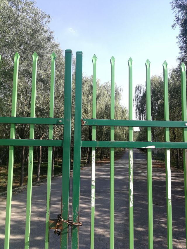 汉哀帝义陵旅行图片 2