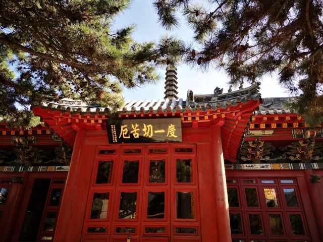 护国般若寺旅行图片 4