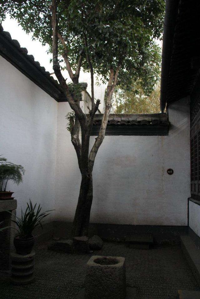 青藤书屋旅行图片 3