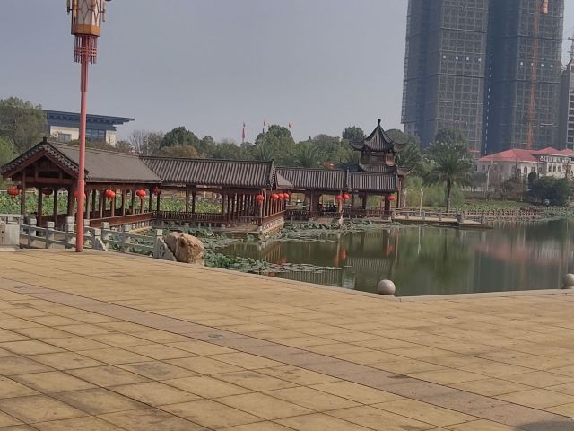 顺湖公园旅行图片 3