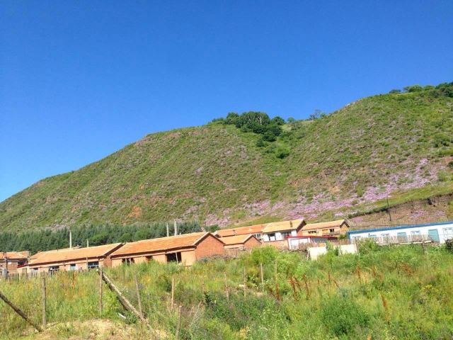 黄岗梁国家森林公园旅行图片 6