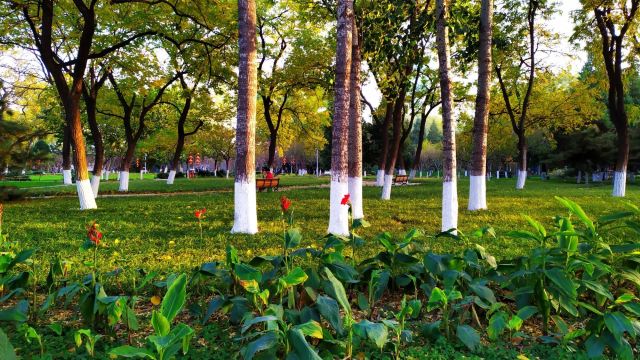 万芳亭公园旅行图片 4