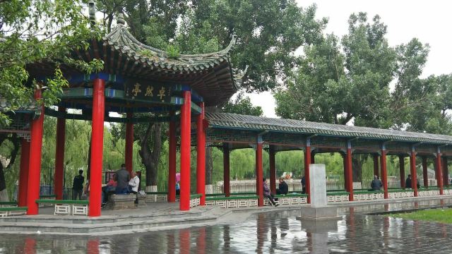 宣化人民公园旅行图片 1