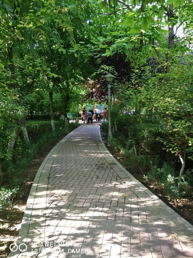 长青公园旅行图片 1
