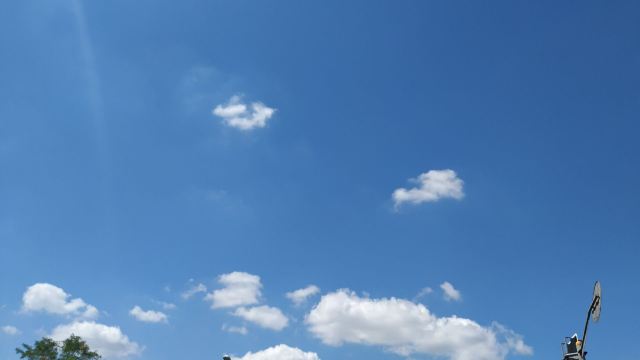 新江湾湿地生态观鸟拍鸟基地旅行图片 3