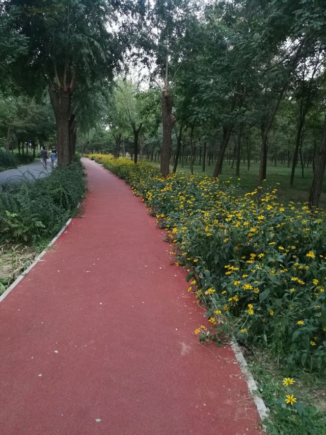 东坝公园旅行图片 2