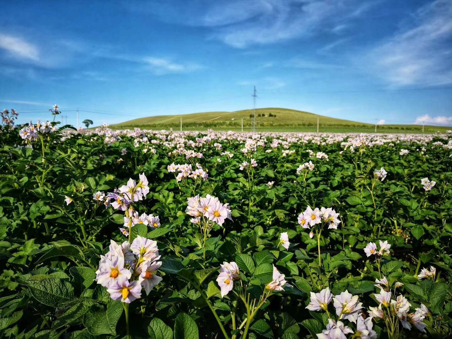 福源之星农家院餐厅图片