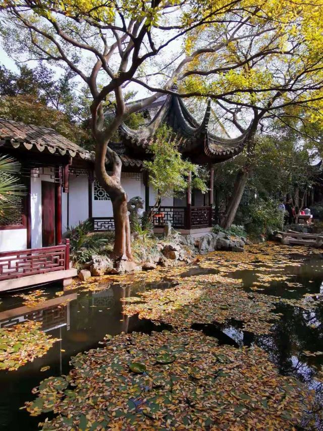 畅园旅行图片 2