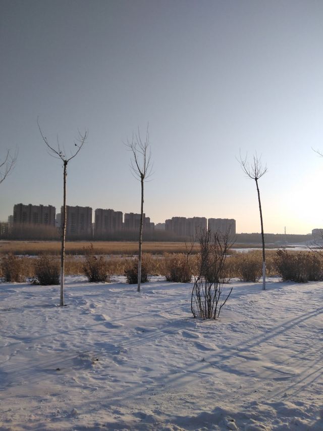 同心湖公园旅行图片 1