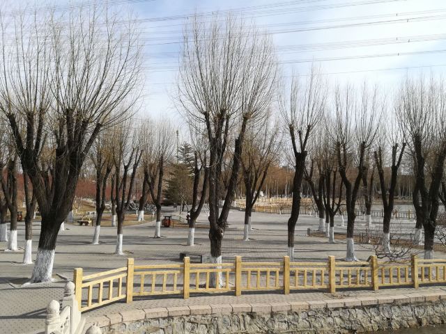 兴隆公园旅行图片 3