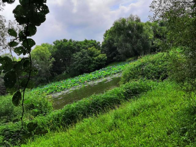 碧湖生态公园旅行图片 3