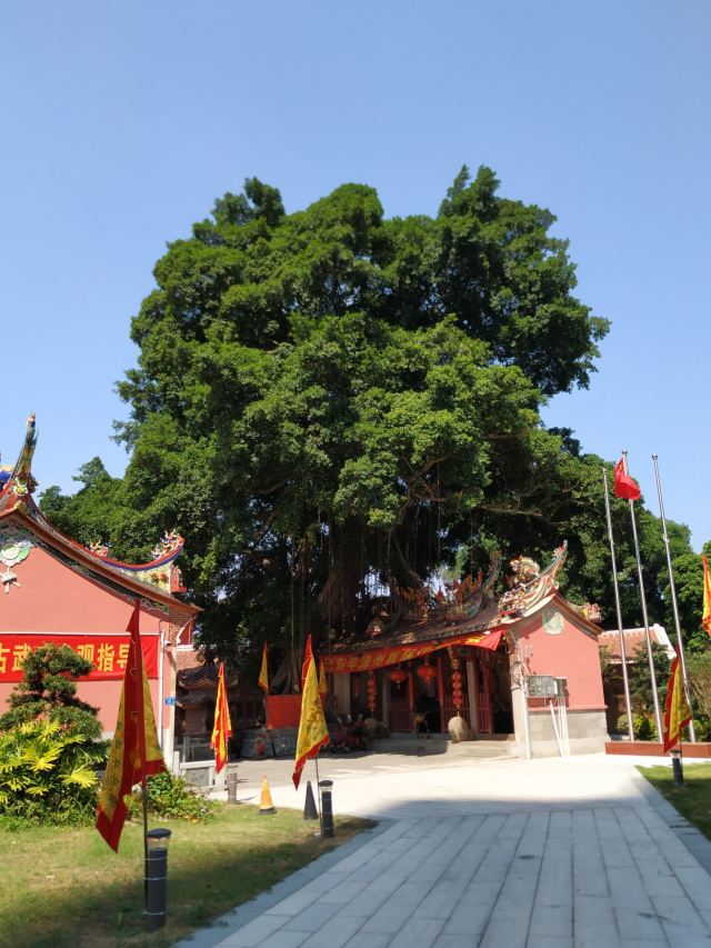 漳州武庙旅行图片 4