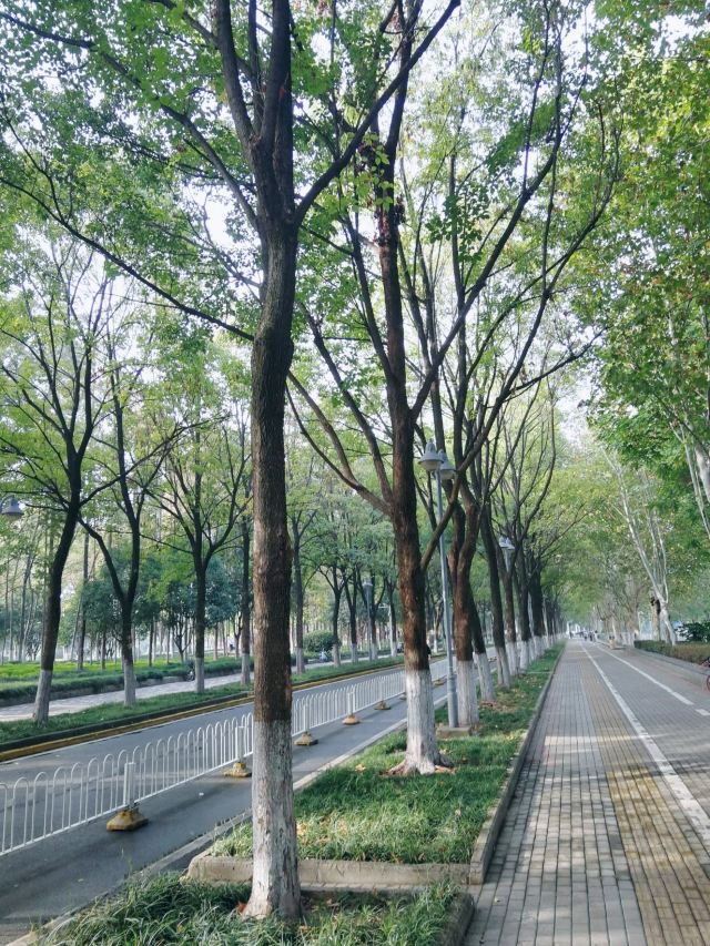 后襄河公园旅行图片 1