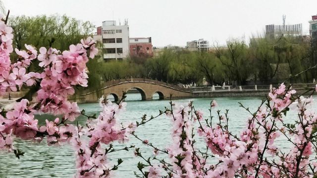 宣化人民公园旅行图片 1