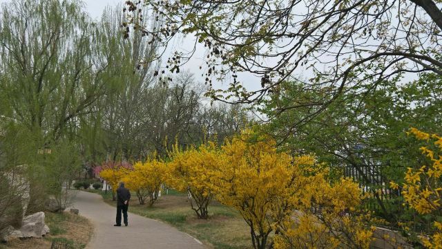 宣化人民公园旅行图片 2