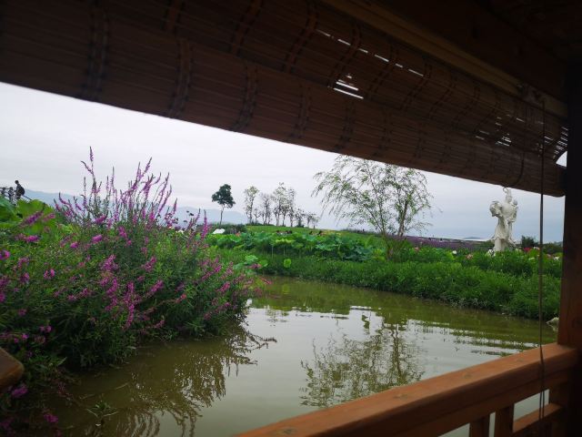 悦莲庄园旅行图片 1