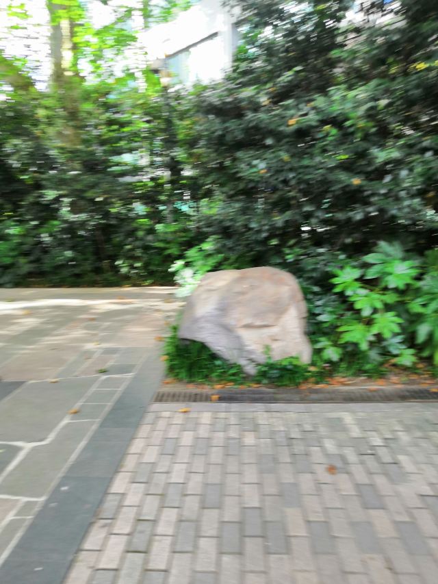 双石公园旅行图片 1