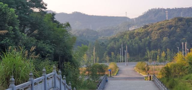 潜山国家森林公园旅行图片 4
