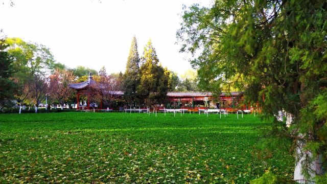 万芳亭公园旅行图片 8