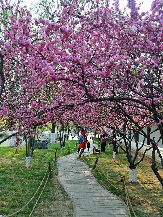 宣化人民公园旅行图片 5
