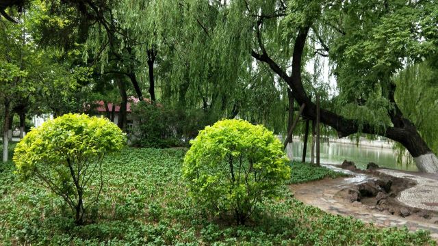 宣化人民公园旅行图片 10