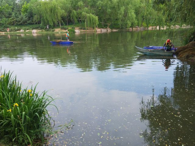 李村河生态全景示范园旅行图片 3
