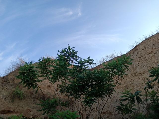 北齐古城墙遗址旅行图片 5