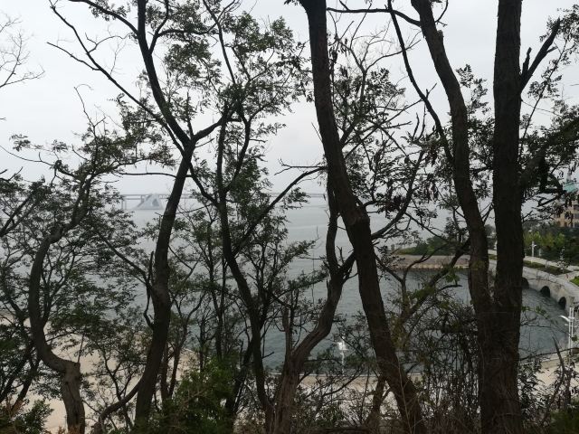 滨海路西段木栈道旅行图片 2