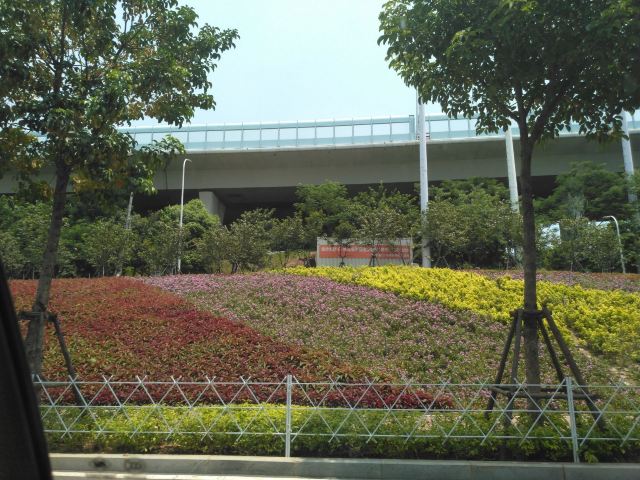 湖里公园旅行图片 2