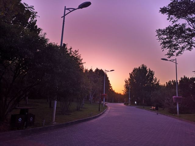 花博会主题公园旅行图片 10